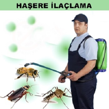 Sungurlu Böcek İlaçlama